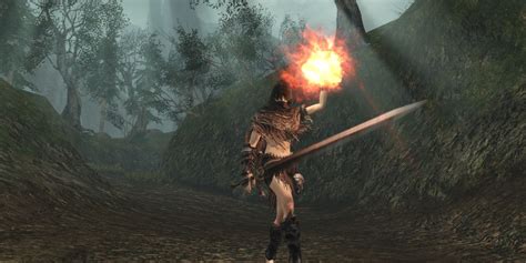 dark souls 2 gamefaqs|Dark Souls 2 .